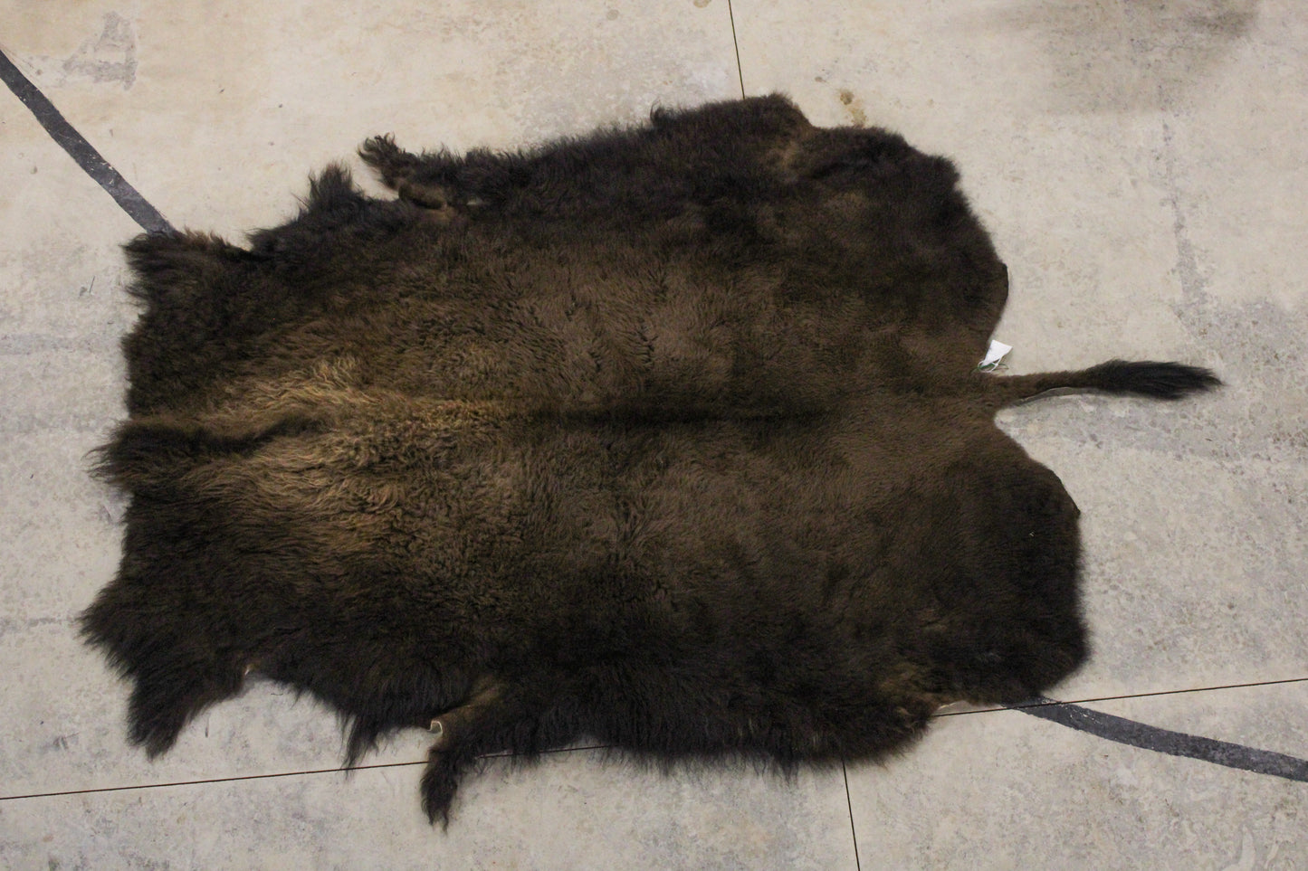 Bison Hide