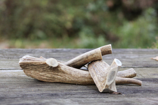 Elk Antler Dog Bones